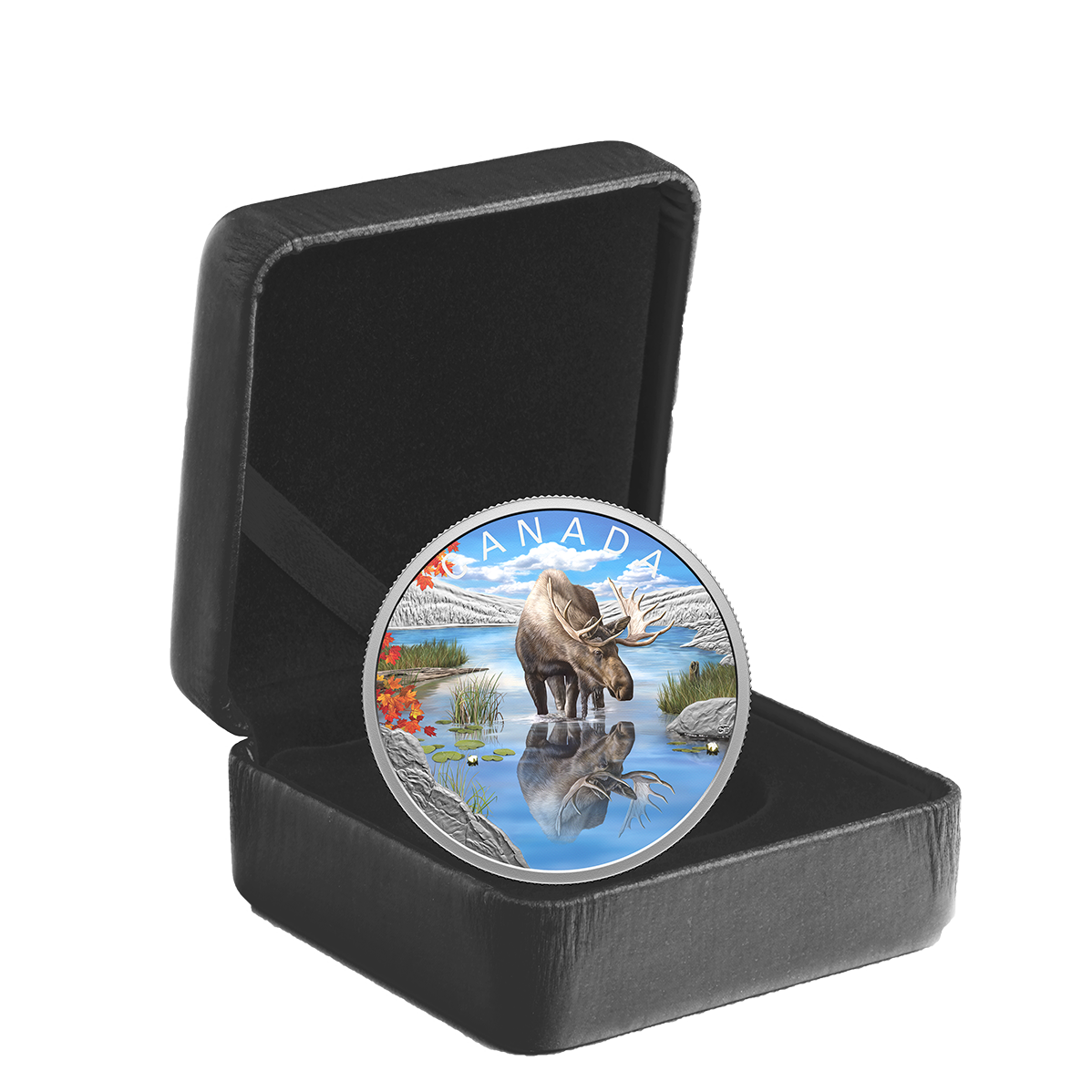 Pure Silver Coin – Wildlife Reflections: Moose | The Royal