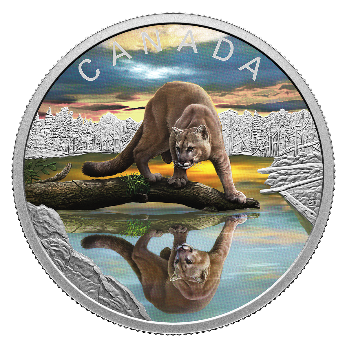 Pure Silver Coin – Wildlife Reflections: Cougar The Royal