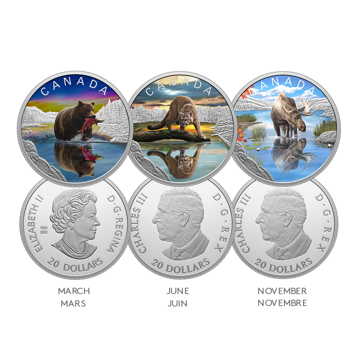 Abonnement à la série de trois pièces en argent pur – Reflets de la faune (2024)