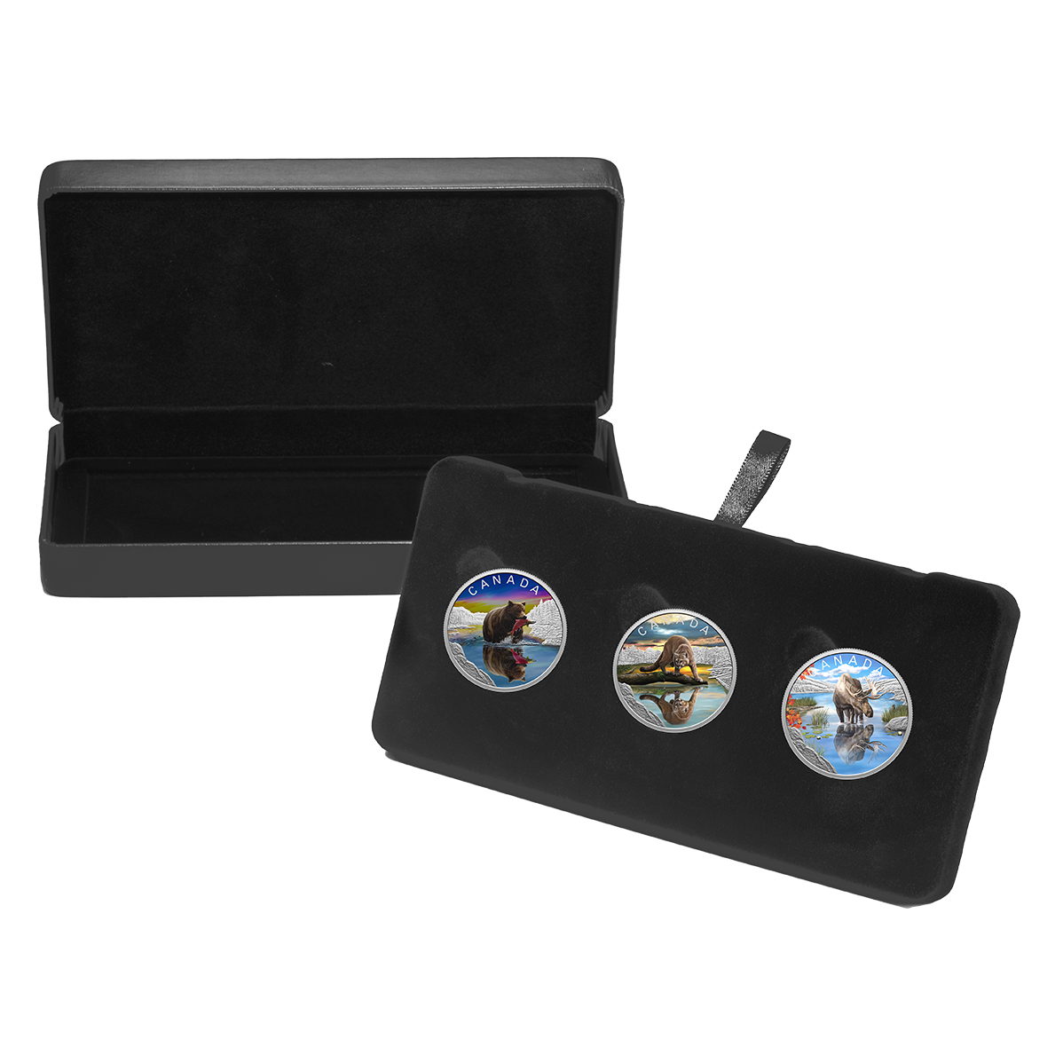 Pure Silver Three-Coin Subscription – Wildlife Reflections Series