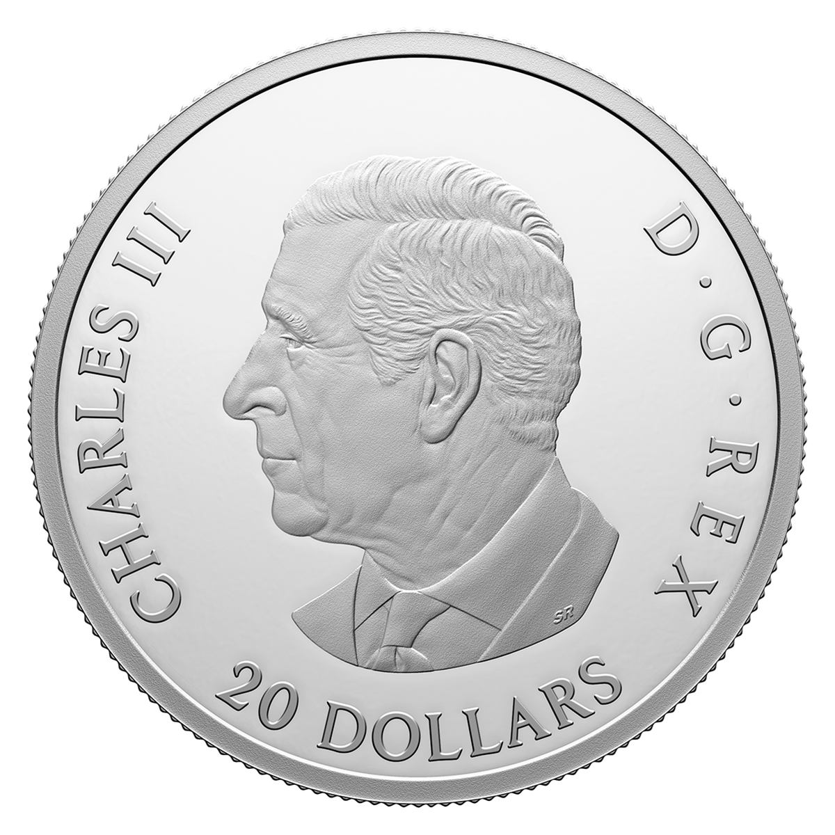 Reference image of Fine Silver Coin – The Royal Canadian Air Force Centennial (2024)