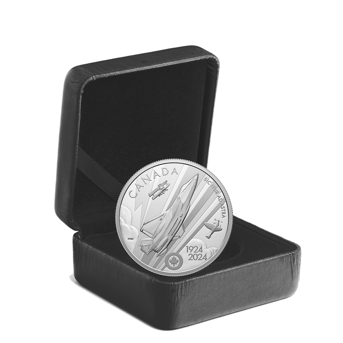 ROYAL CANADIAN MINT FINE SILVER 10オンス Serial No.880060271(銀