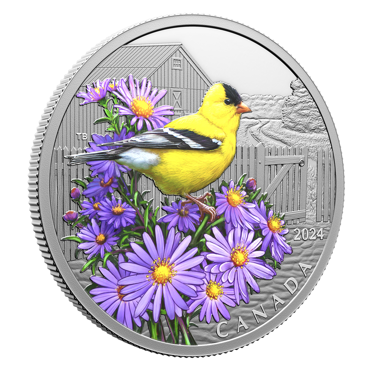 246851_reva-1200.png?hash=