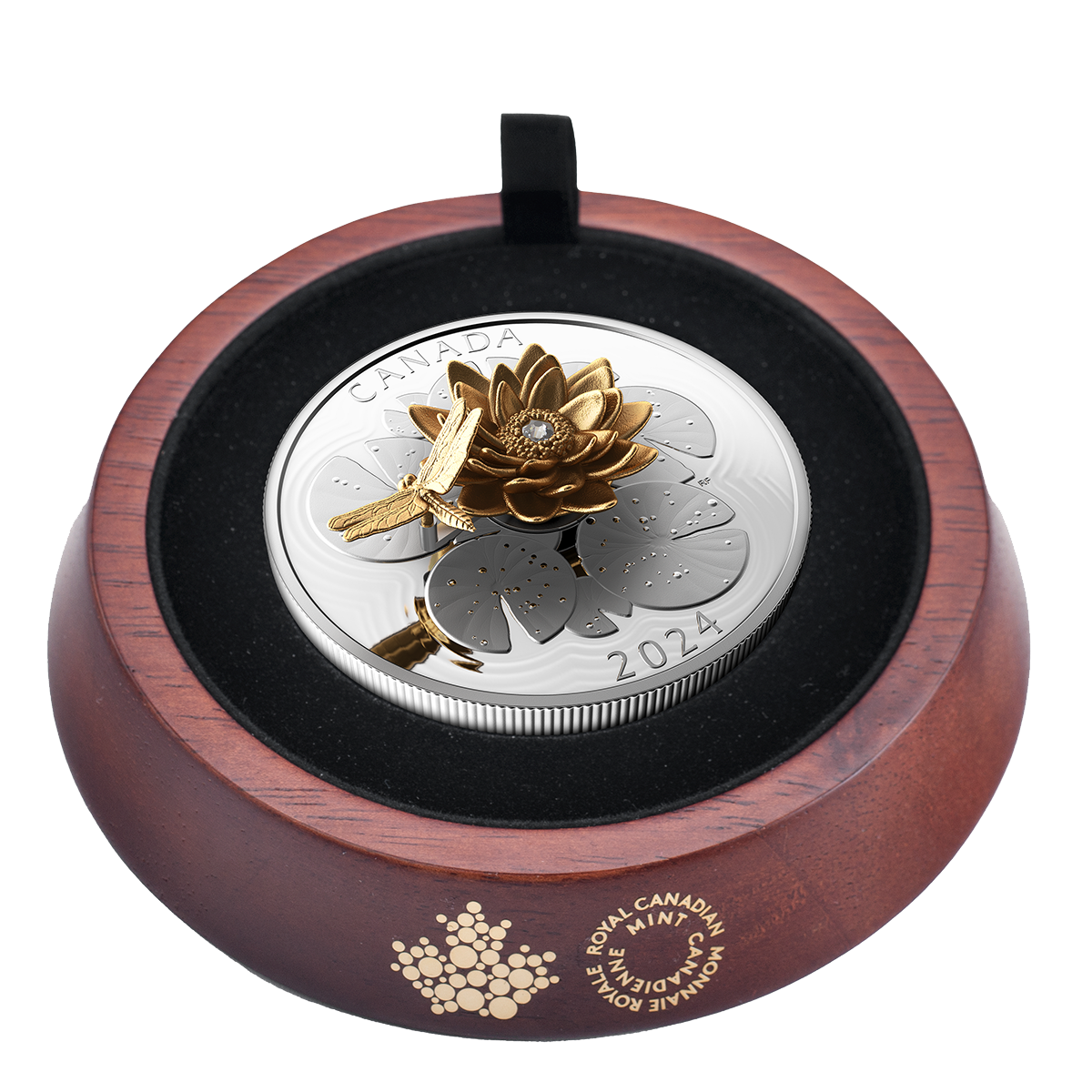 247254_pack-1200.png?hash=