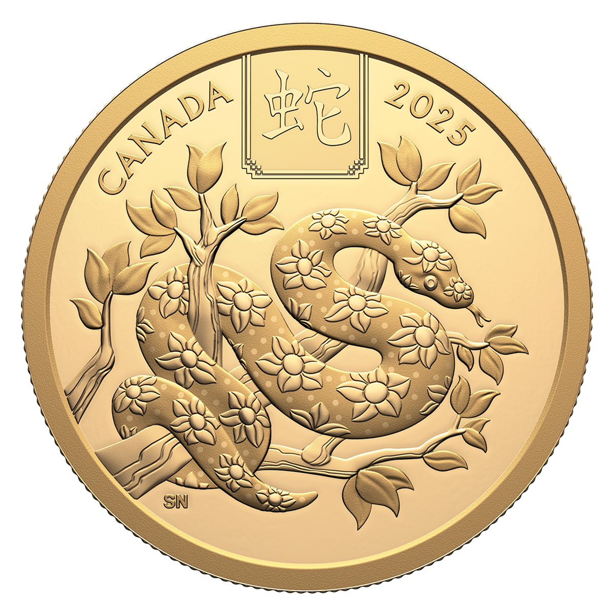 Lunar Year of the Snake Pure Gold Coin (2025) The Royal Canadian Mint