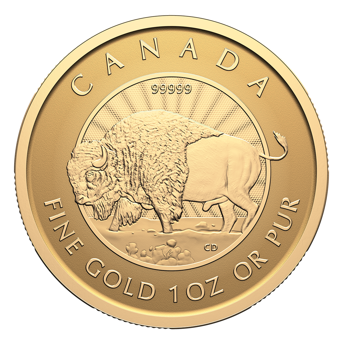 253060_revcoin_1200.png?hash=