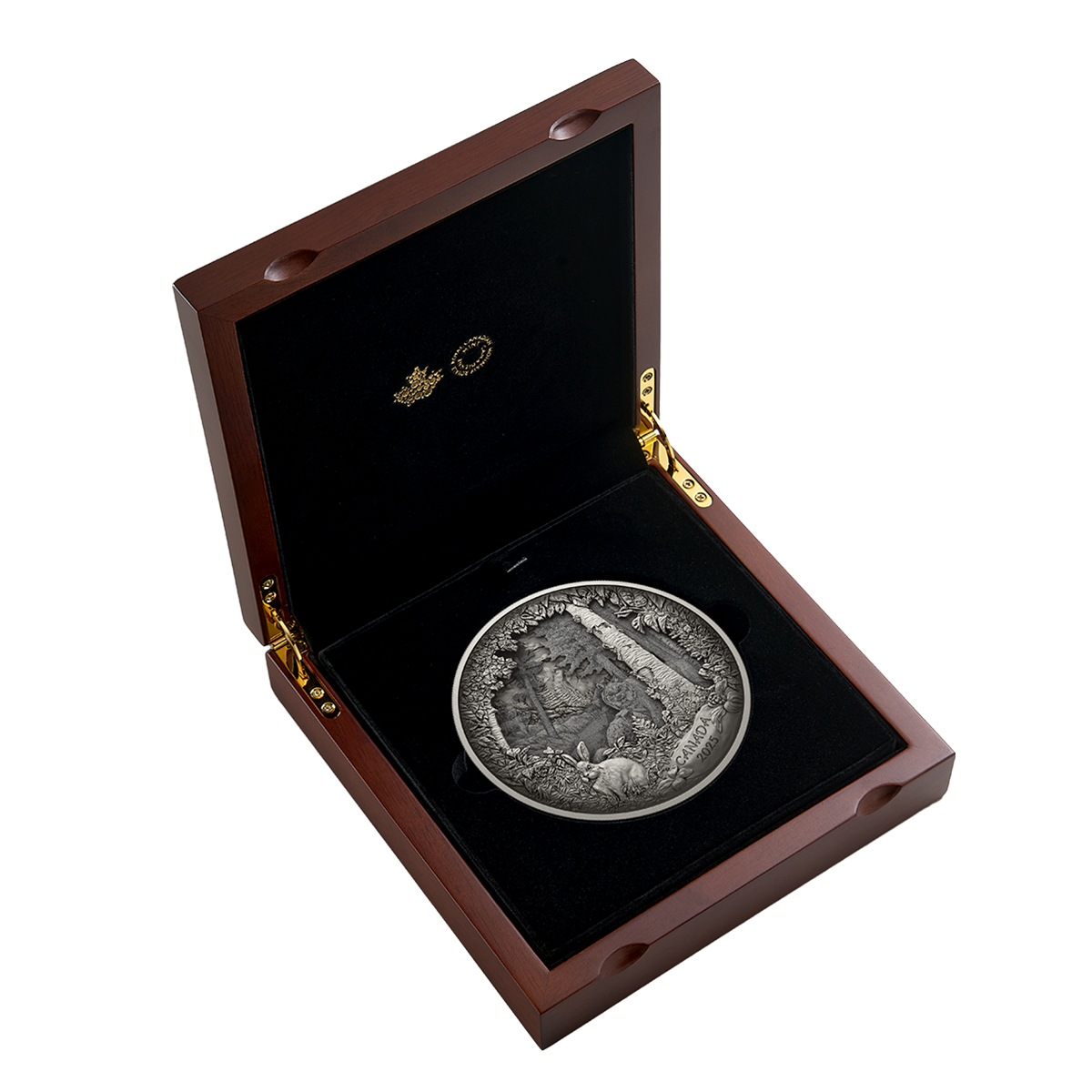 Predator or Prey in Shadow Box – Fine Silver Coin | The