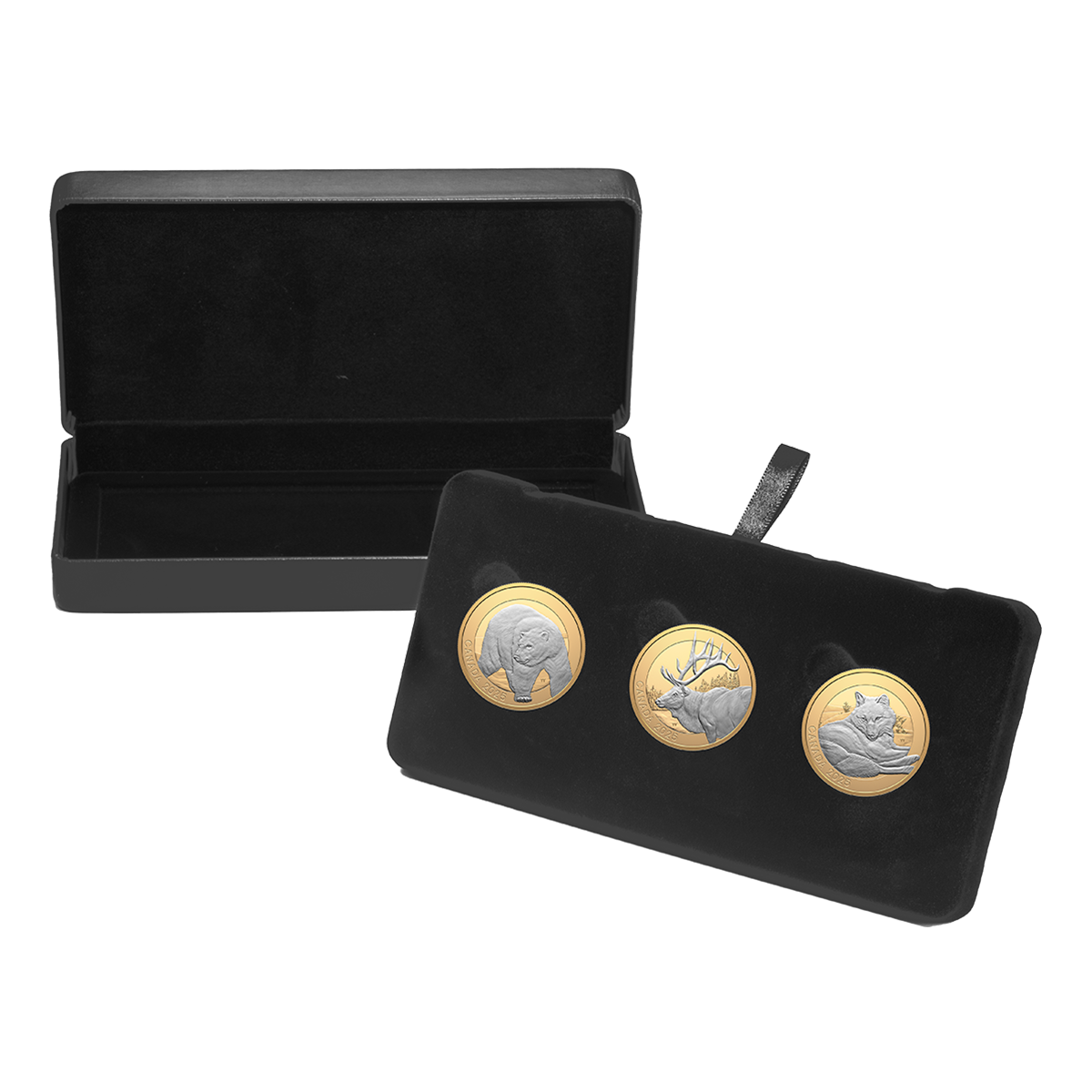 Animal Portraits – Fine Silver Three-Coin Subscription (2025)