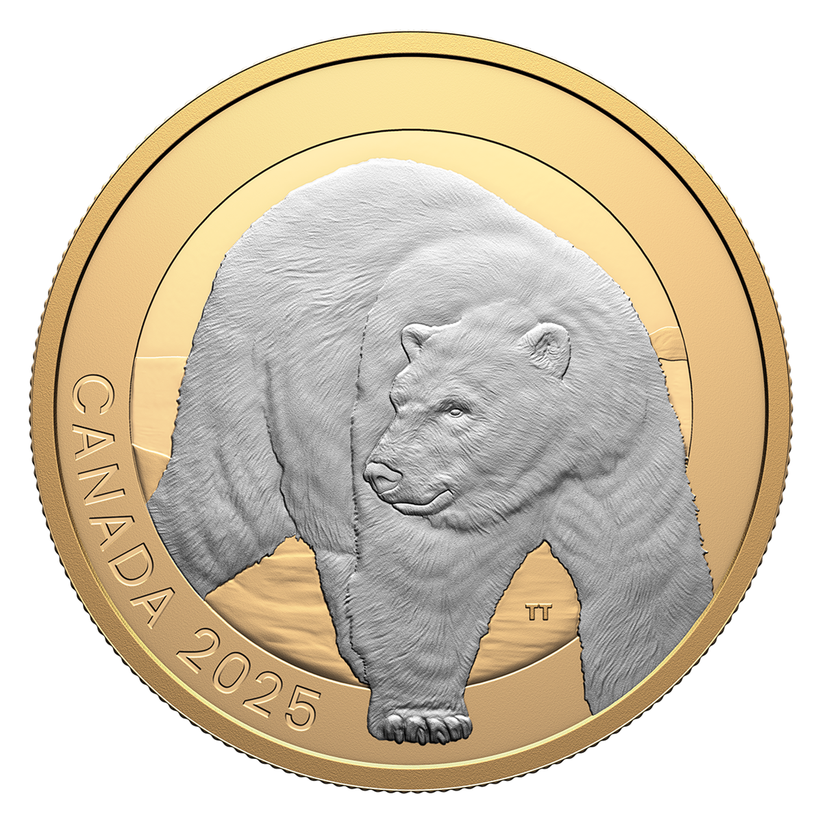 Animal Portraits: Polar Bear – 1 oz. Fine Silver Coin