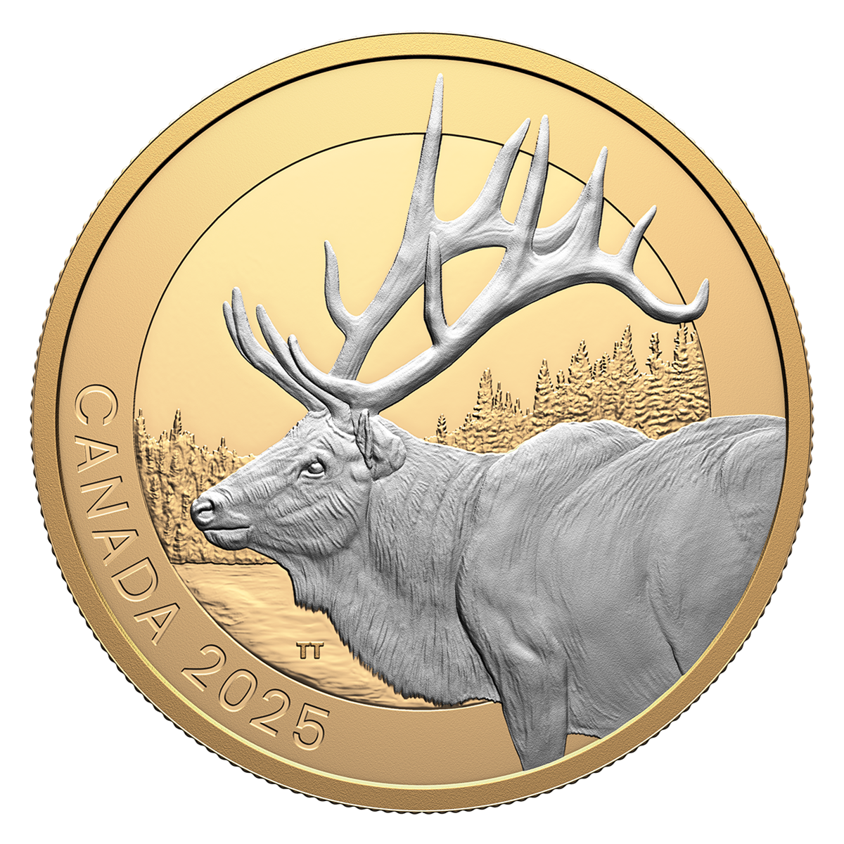 希少 3面金箔 19世紀 The Canadian Naturalist カナダ