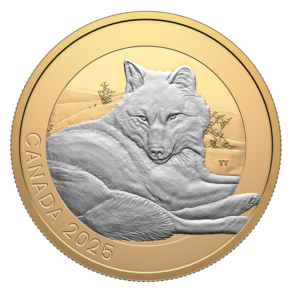 Pure Silver Three-Coin Subscription – Wildlife Reflections Series