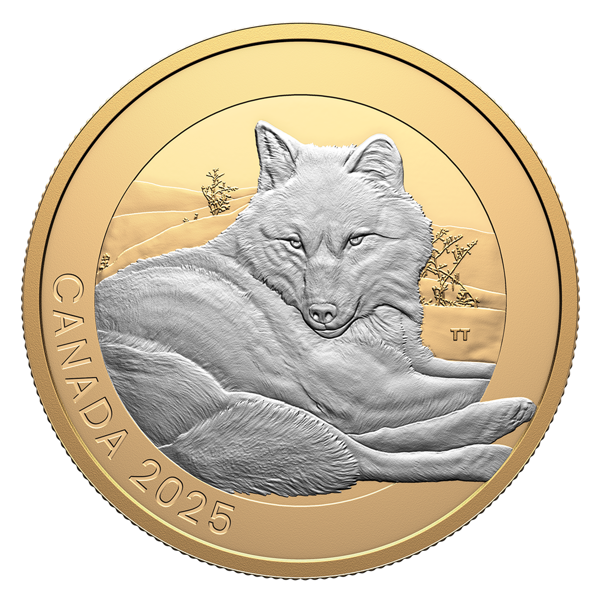 Animal Portraits: Grey Wolf – 1 oz. Fine Silver Coin