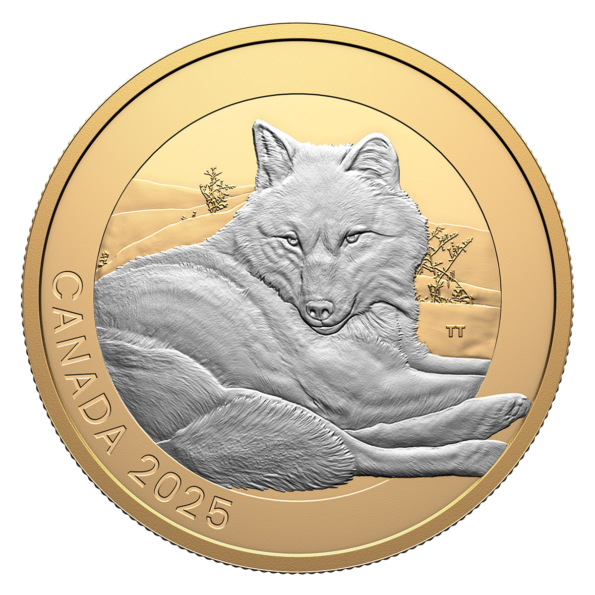 Animal Portraits: Grey Wolf – 1 oz. Fine Silver Coin
