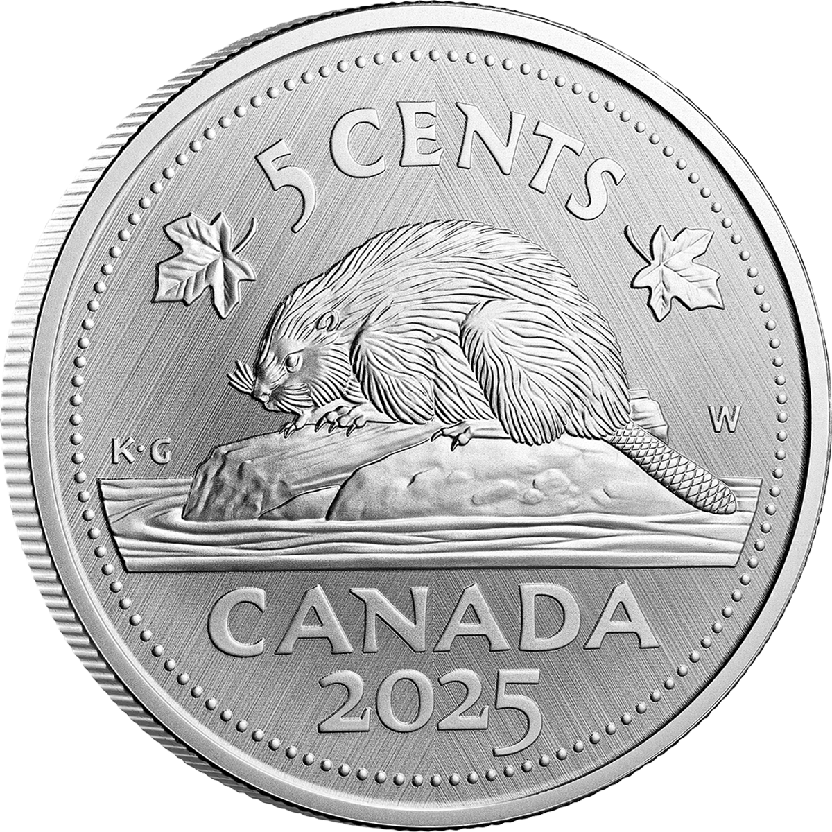 SUPER BEAVER　CD　361° SUPER BEAVER 361 CD