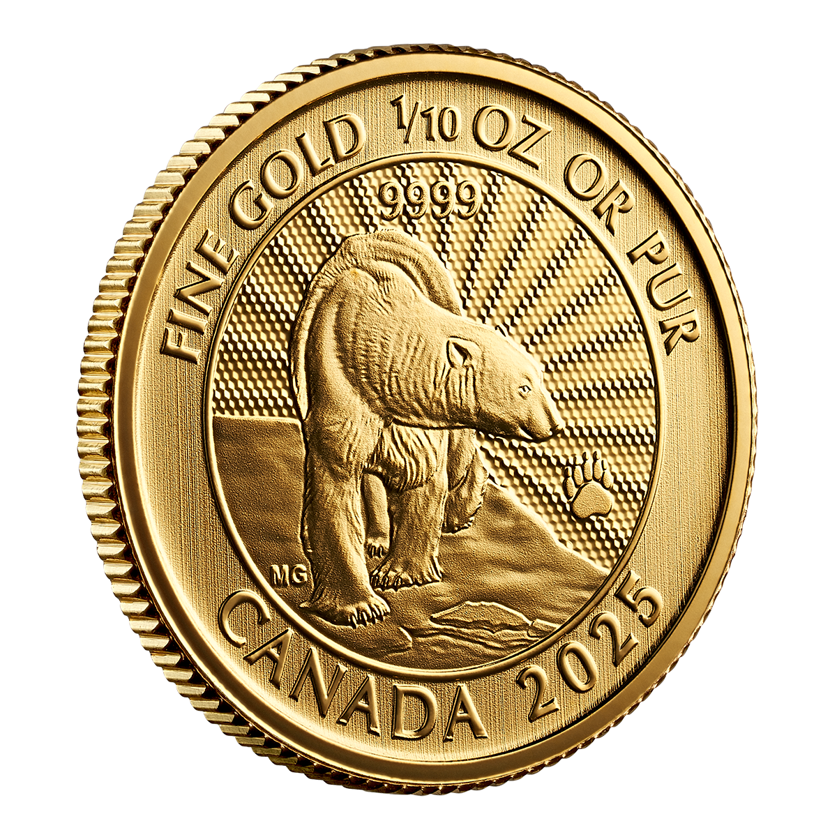 249590_rev-right_1200.png?hash