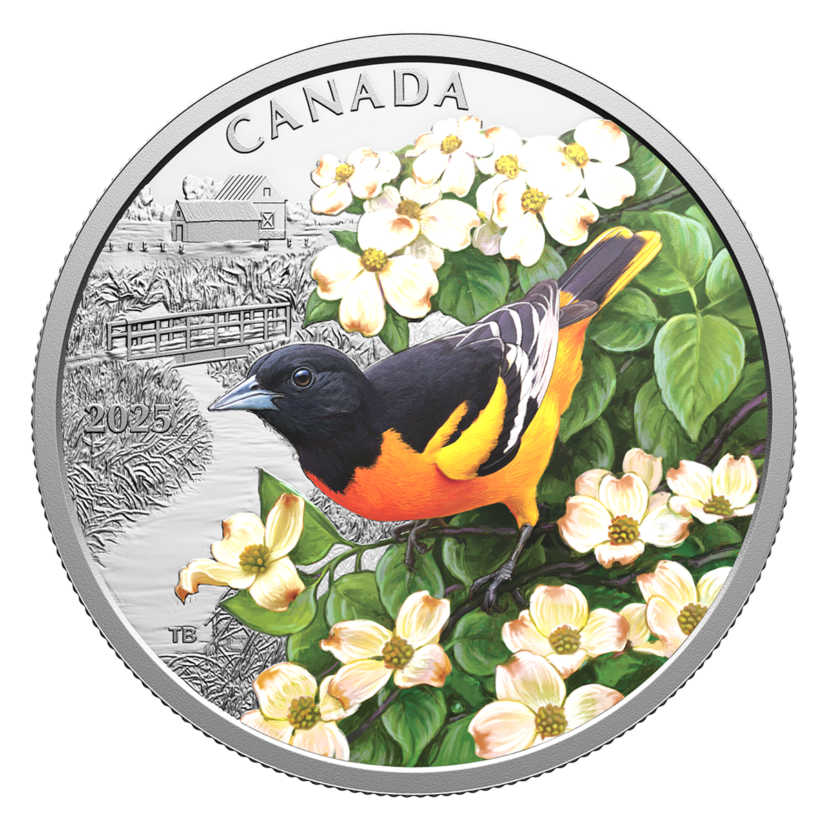 Colourful Birds: Baltimore Oriole – 1 oz. Fine Silver Coin