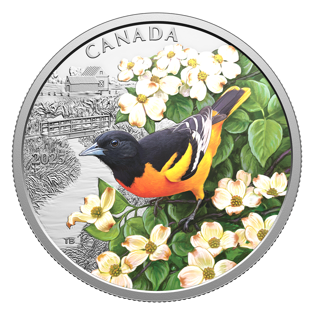 Colourful Birds: Baltimore Oriole – 1 oz. Fine Silver Coin