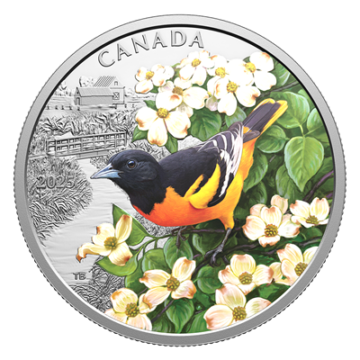 Oiseaux colorés : Oriole de Baltimore – Pièce de 1 oz en argent fin