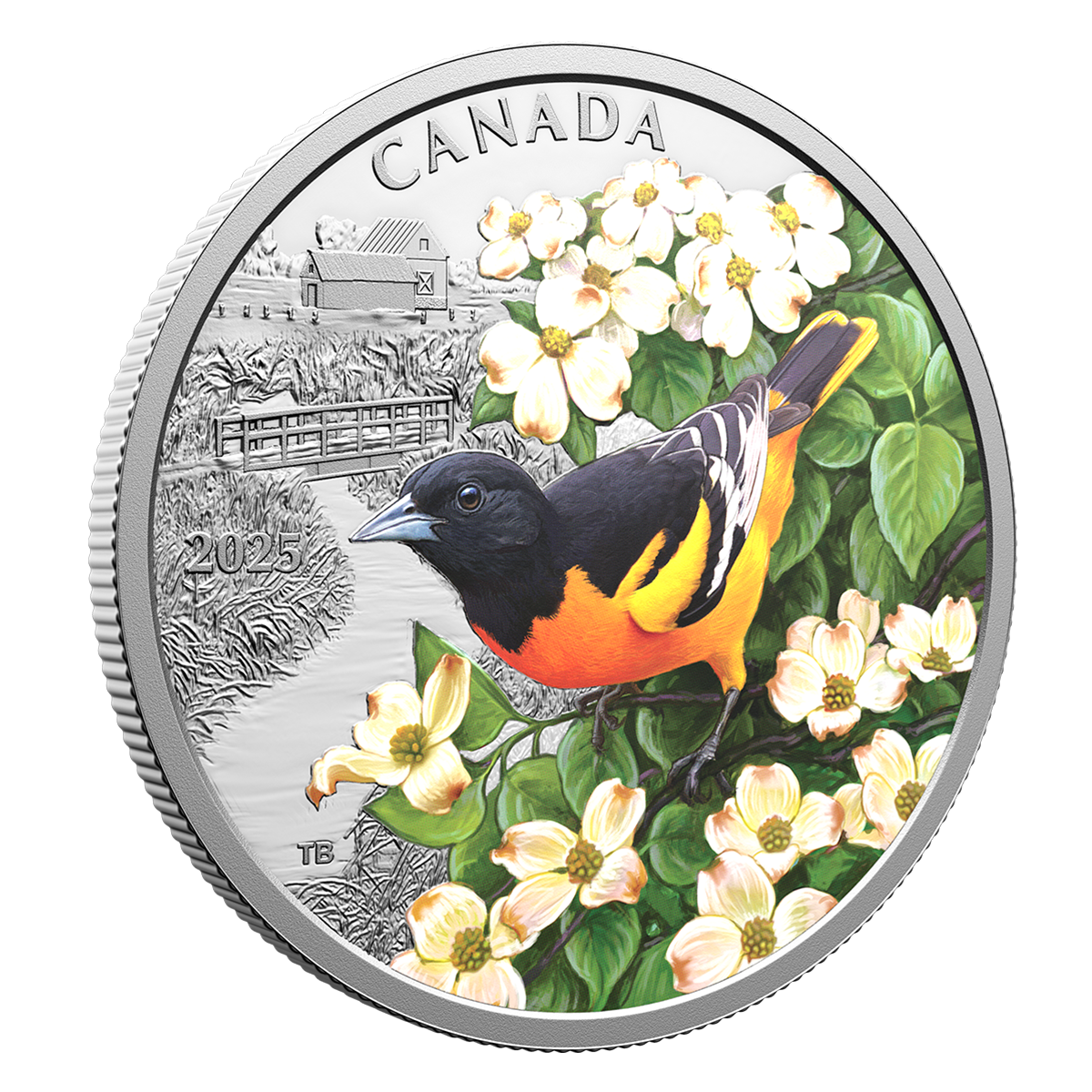 250190_revright_1200.png?hash=