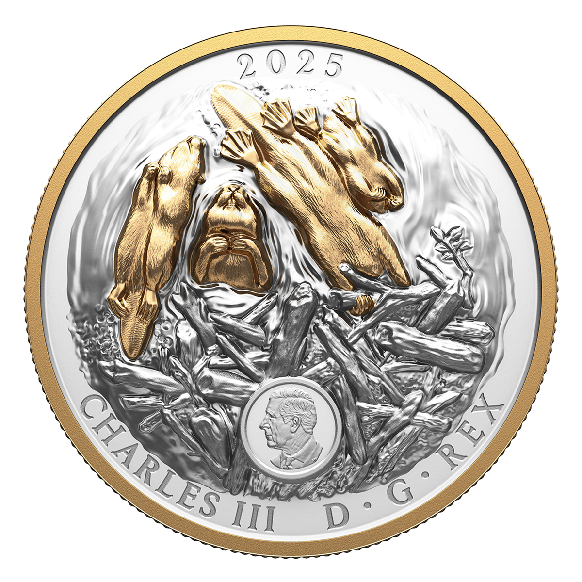 Canadian Symbol: The Beaver – Fine Silver Coin