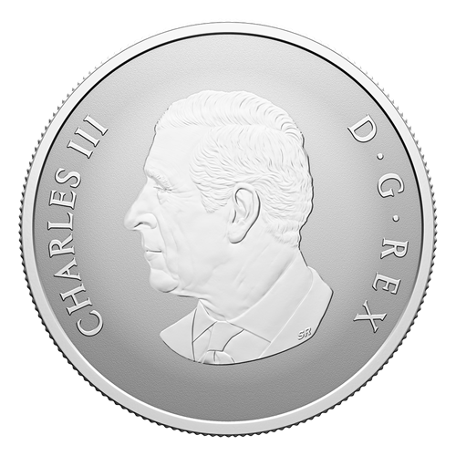 Obverse of Silver Coin