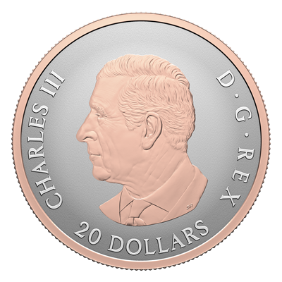 Obverse of Silver Coin