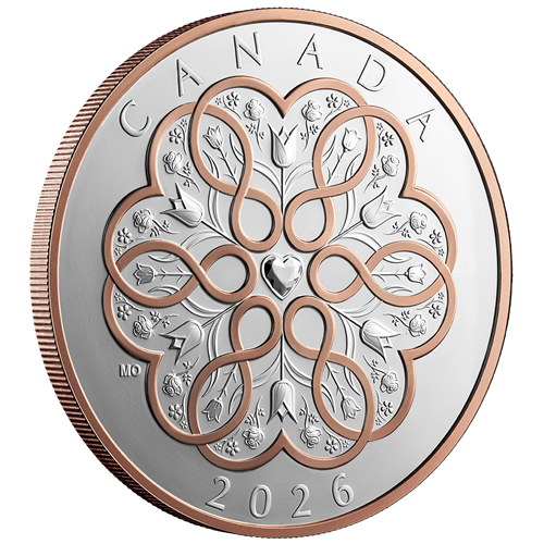 Angled reverse of Silver Coin