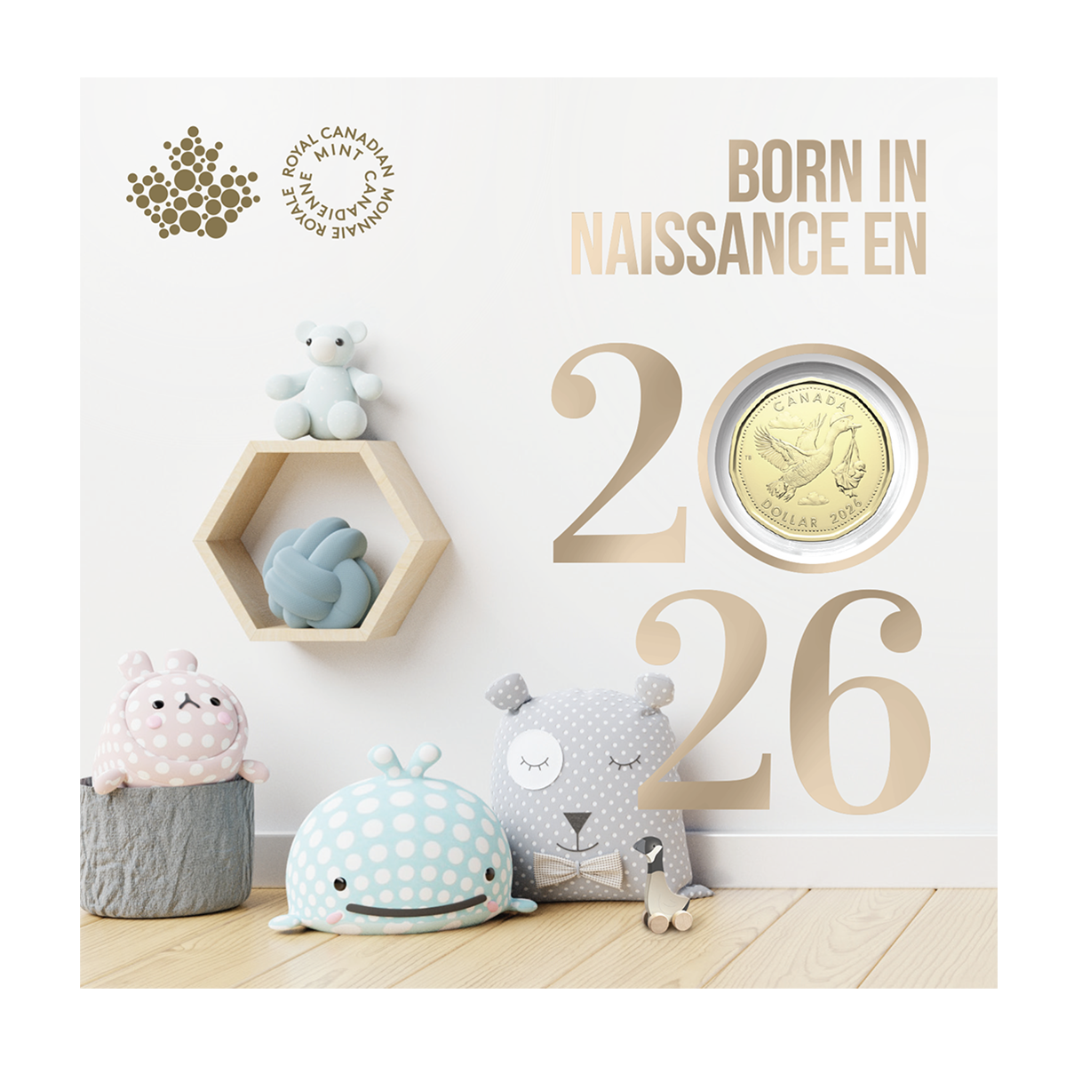 Baby Gift Card Set (2026)