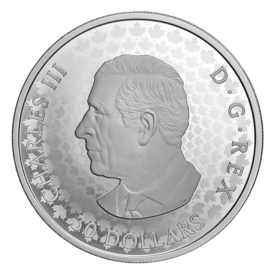 Obverse of Silver Coin