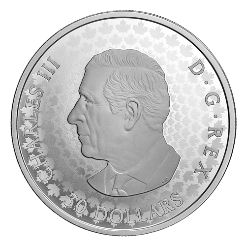 Obverse of Silver Coin
