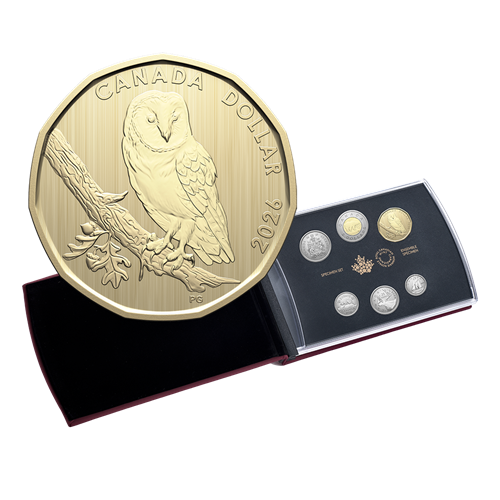 Specimen Set – Barn Owl (2026)