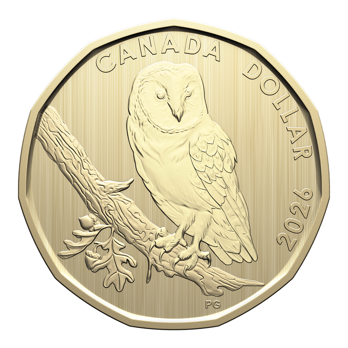 Specimen Set – Barn Owl (2026)