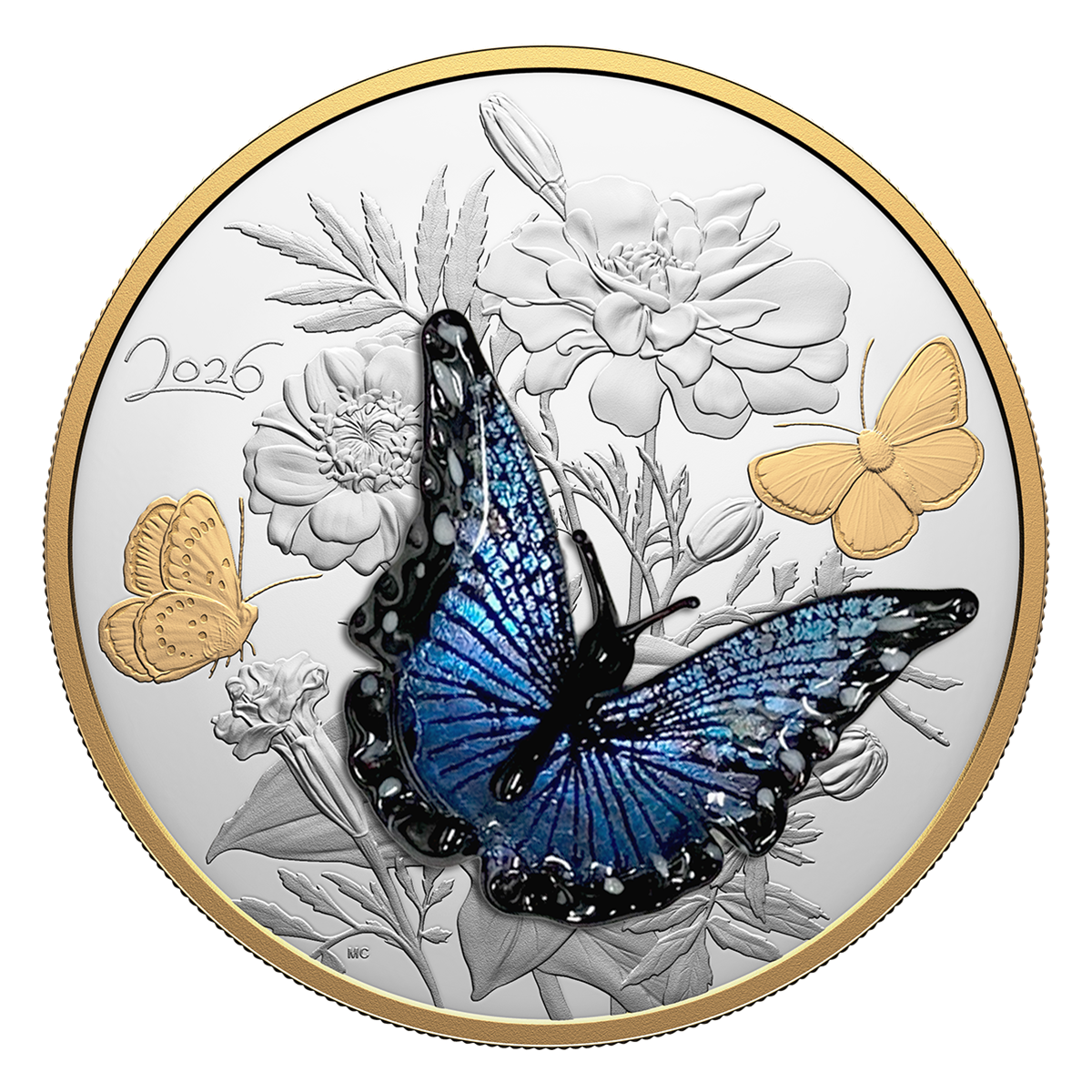 Murano Silvery Blue Butterfly – Half Kilo Fine Silver Coin