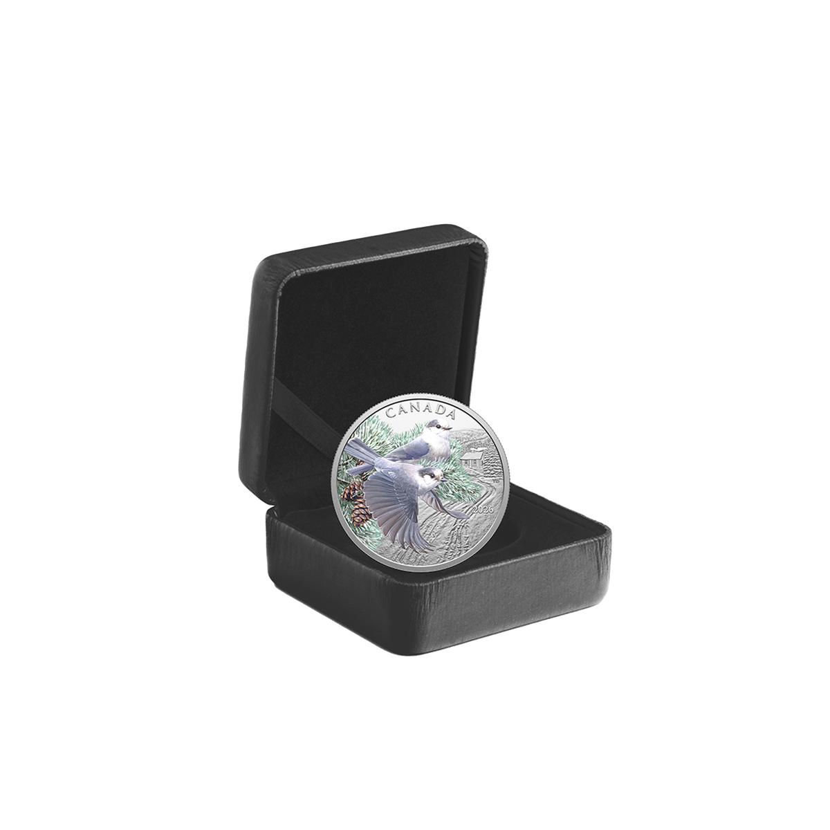 Colourful Birds: Canada Jays – 1 oz. Fine Silver Coin | The Royal