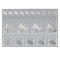2021 2 Oz. 99.99% Pure Silver – Mapleflex<sup>TM</sup> (Bullion)