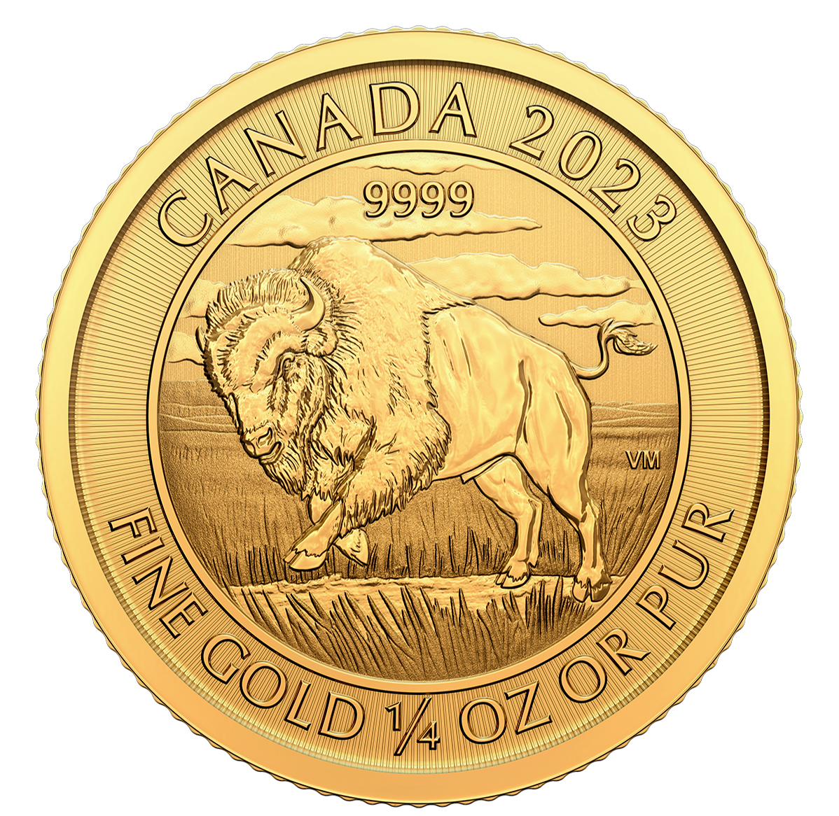 2023 Bison - 1/4 oz. 99.99% Pure Gold Coin (Bullion)
