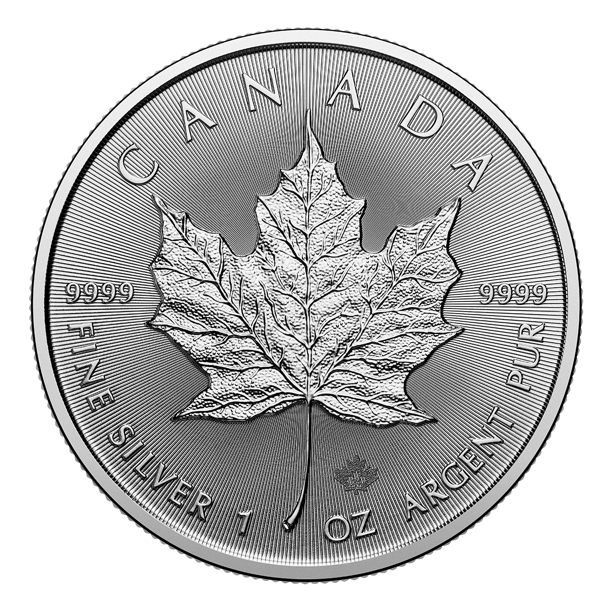 2015 North American Coins & Prices 第24版 2024 SML - 1 oz. 99.99% Pure Silver Coin (Bullion) | The