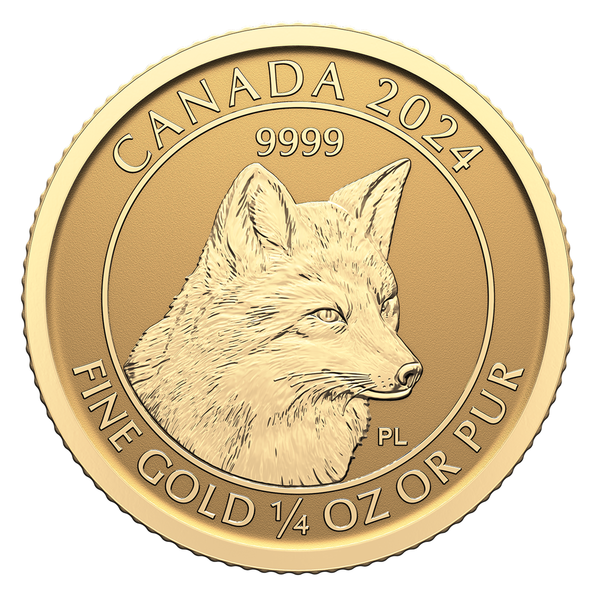2024 ¼ oz. 99.99 Pure Gold Coin Red Fox (Bullion) The Royal