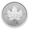 2024 FÉPt  dans un emballage protecteur - Pièce de 1 oz en platine pur à 99,95 % (pièce d’investissement)