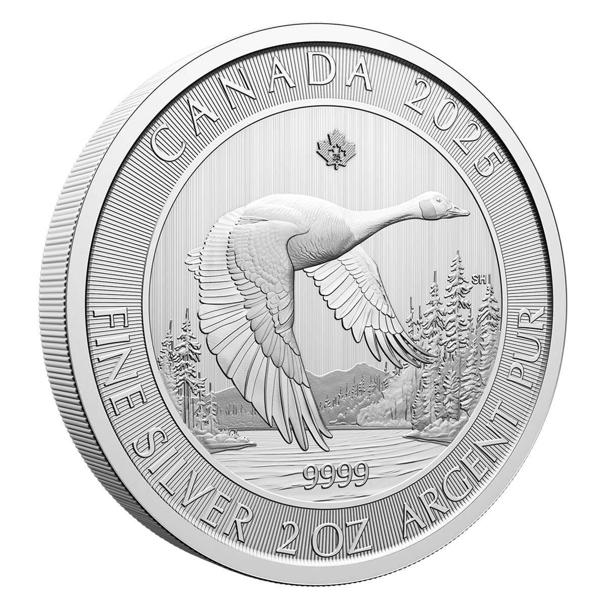 2025 10 2 oz. 99.99 Pure Silver Coin Canada Goose (Bullion) The Royal Canadian Mint