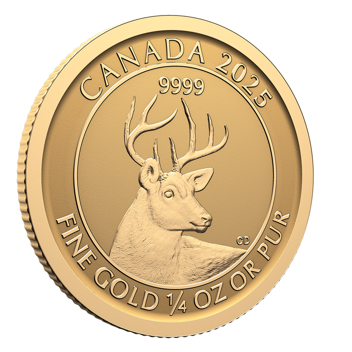 n*r様 蝦夷鹿hunting trophy（deerskull） n*r様 蝦夷鹿hunting