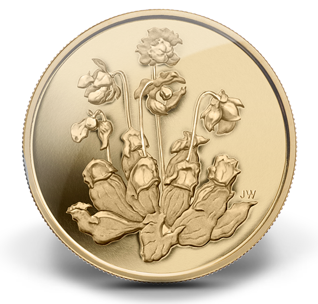 99999 Gold Coin – Pitcher Plant (2009) | The Royal Canadian Mint