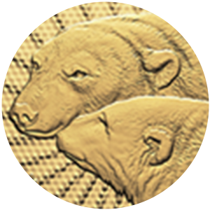 Close up of gold coin, privy mark of polar bears.