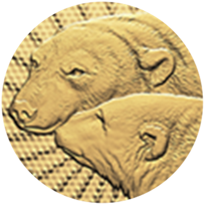 Close up of gold coin, privy mark of polar bears.