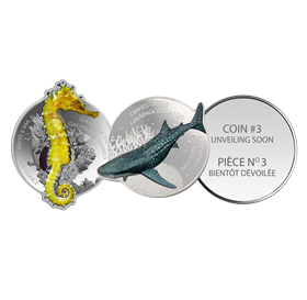 2020_179788_silver_giants_of_galapagos_islands_giant_seahorse_certificate-fr.pdf